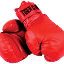 Cardio Training Gloves - 10 oz - 12oz - 14oz