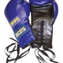 Pro Series Training Gloves - 14oz - Laces
