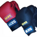 Aerobic/Cardio Kickboxing Gloves - 12oz